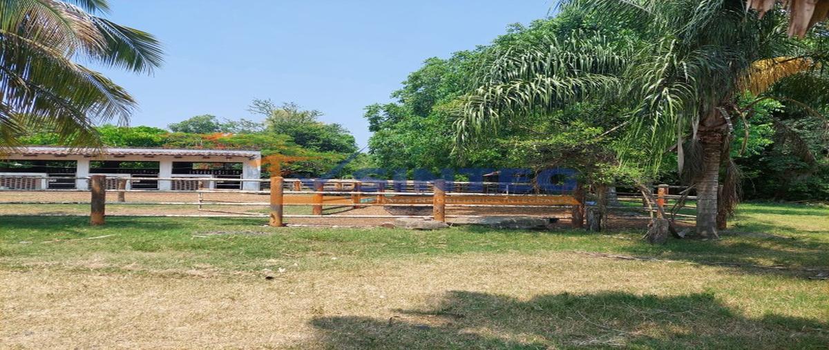 Foto de terreno habitacional en venta en  , pital mozutla, papantla, veracruz de ignacio de la llave, 0 No. 03