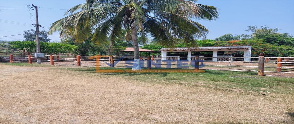 Foto de terreno habitacional en venta en  , pital mozutla, papantla, veracruz de ignacio de la llave, 0 No. 04