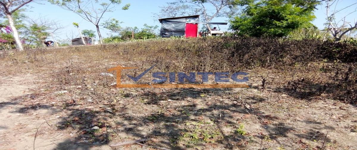 Foto de terreno habitacional en venta en  , pital mozutla, papantla, veracruz de ignacio de la llave, 30132216 No. 03