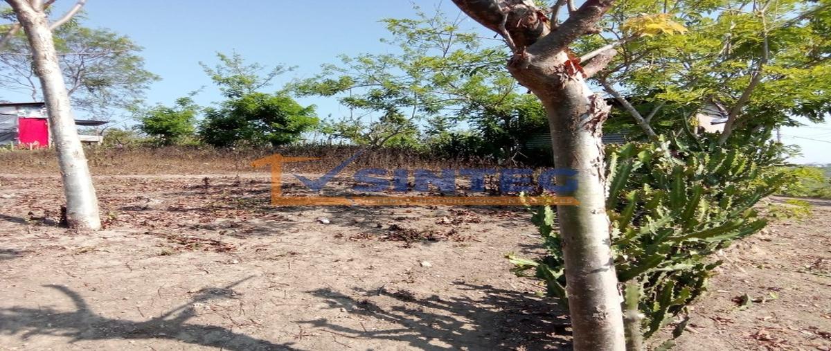 Foto de terreno habitacional en venta en  , pital mozutla, papantla, veracruz de ignacio de la llave, 30132216 No. 04