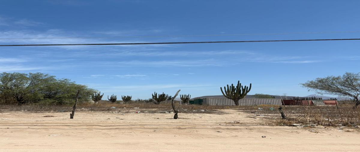 Foto de terreno habitacional en venta en pitaya 1 , la pitahaya, la paz, baja california sur, 31510500 No. 03