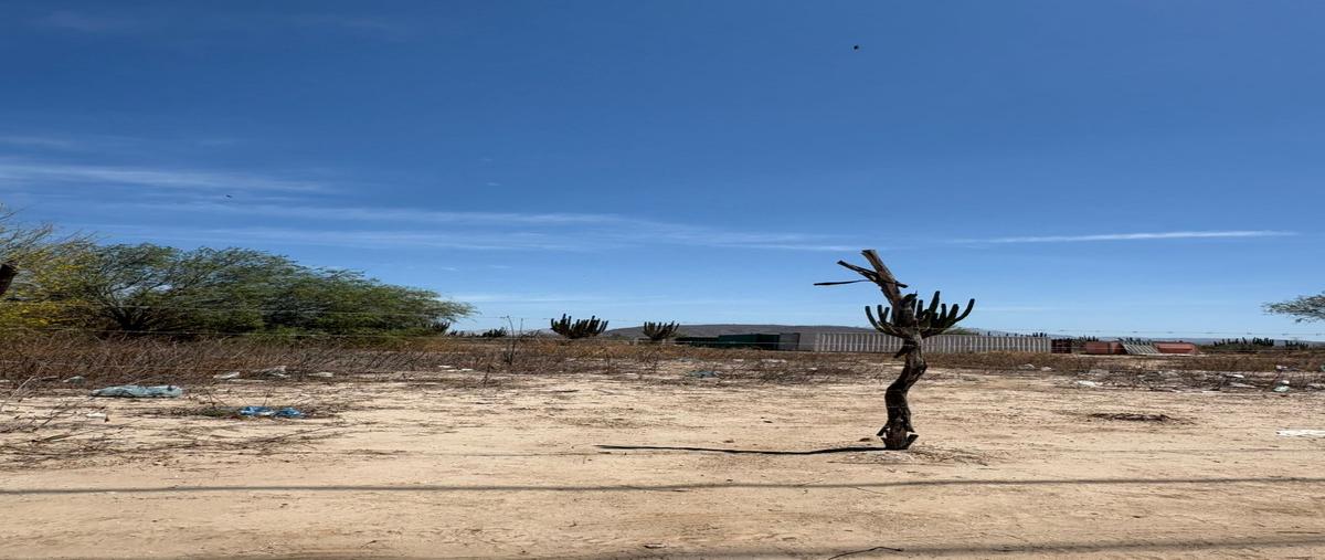 Foto de terreno habitacional en venta en pitaya 1 , la pitahaya, la paz, baja california sur, 31510500 No. 04