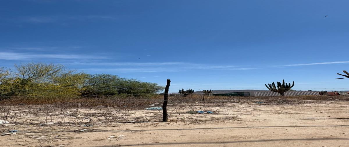 Foto de terreno habitacional en venta en pitaya 1 , la pitahaya, la paz, baja california sur, 31510500 No. 05