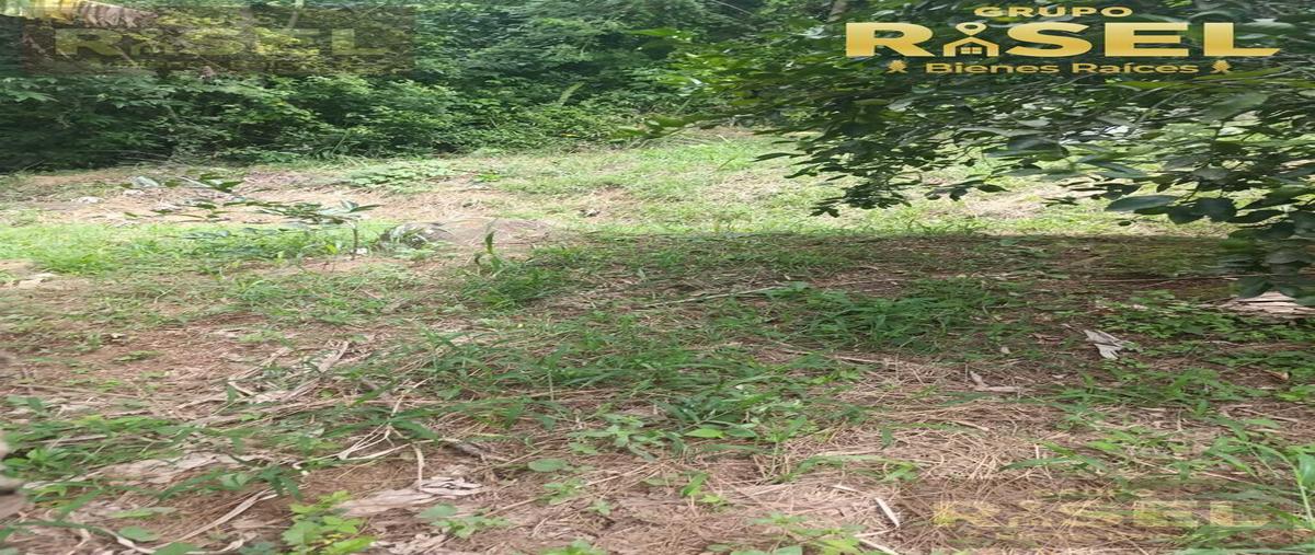 Foto de terreno habitacional en venta en  , plan chico, emiliano zapata, veracruz de ignacio de la llave, 0 No. 04