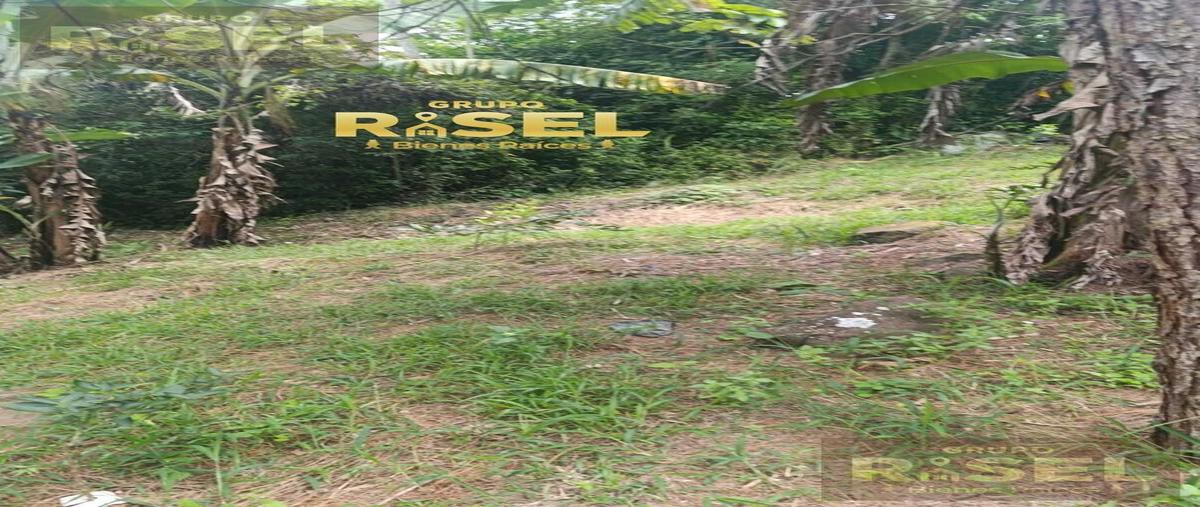 Foto de terreno habitacional en venta en  , plan chico, emiliano zapata, veracruz de ignacio de la llave, 0 No. 05
