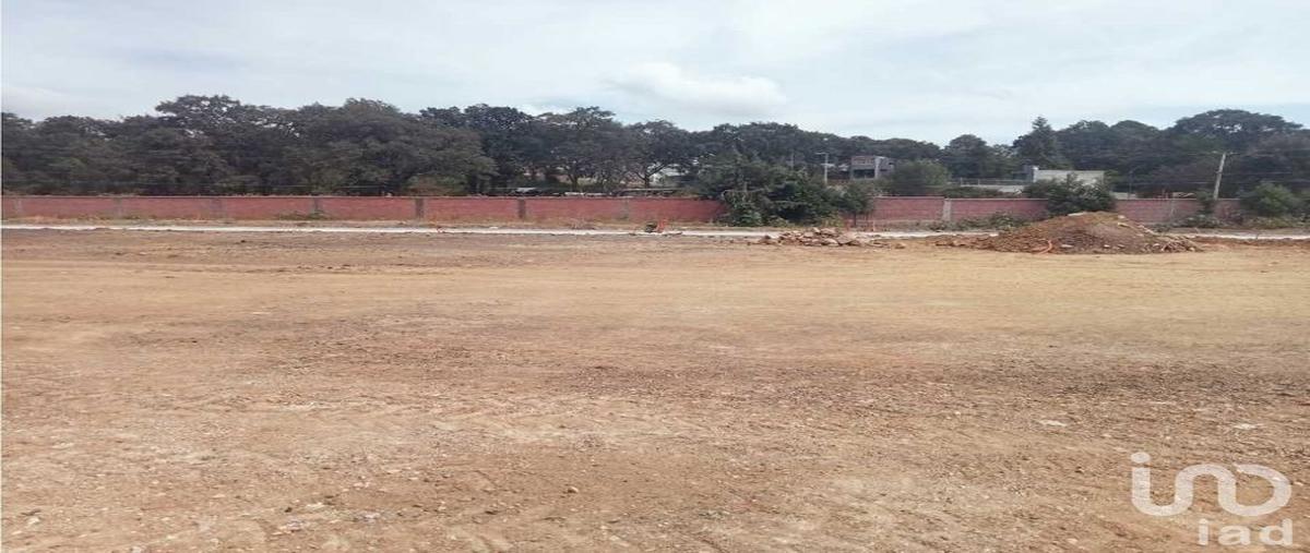 Foto de terreno habitacional en venta en plan de ayala 203, jesús del monte, morelia, michoacán de ocampo, 30854973 No. 05