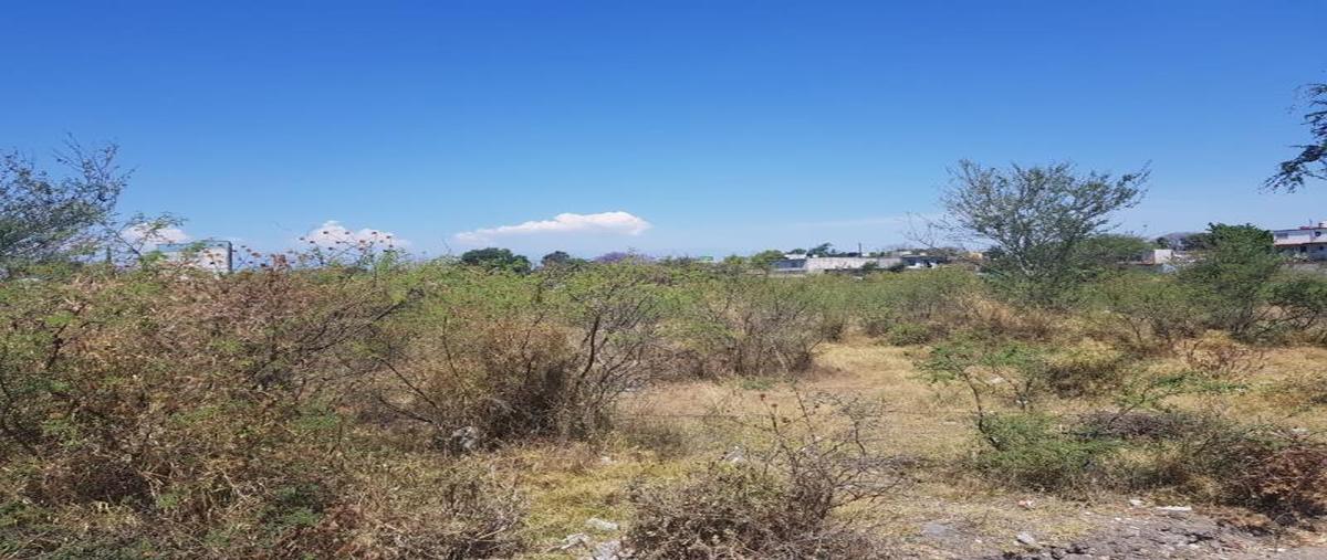 Foto de terreno habitacional en venta en  , plan de ayala, cuautla, morelos, 0 No. 02