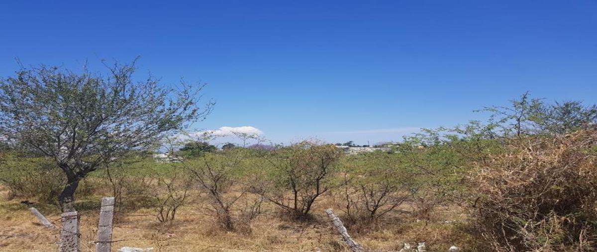 Foto de terreno habitacional en venta en  , plan de ayala, cuautla, morelos, 7550915 No. 01