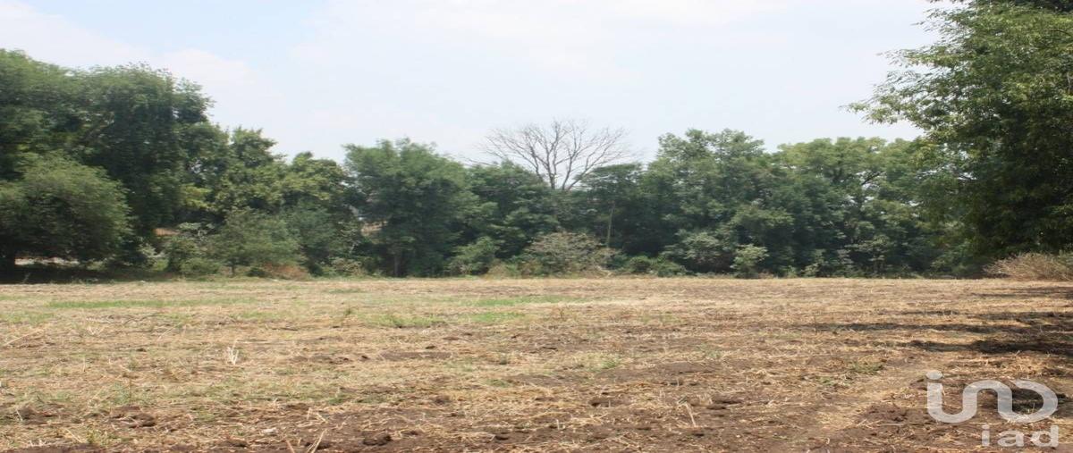 Foto de terreno industrial en venta en plan de ayala , san juan otlaxpa, tepeji del río de ocampo, hidalgo, 0 No. 02