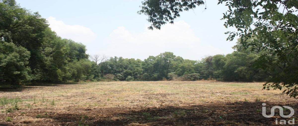 Foto de terreno industrial en venta en plan de ayala , san juan otlaxpa, tepeji del río de ocampo, hidalgo, 0 No. 03