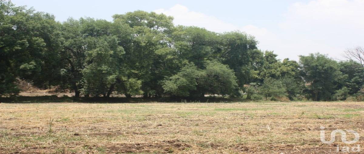 Foto de terreno industrial en venta en plan de ayala , san juan otlaxpa, tepeji del río de ocampo, hidalgo, 0 No. 05