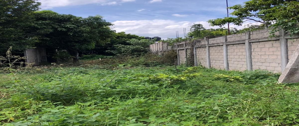 Foto de terreno habitacional en renta en plan de ayala sur , plan de ayala, tuxtla gutiérrez, chiapas, 0 No. 05
