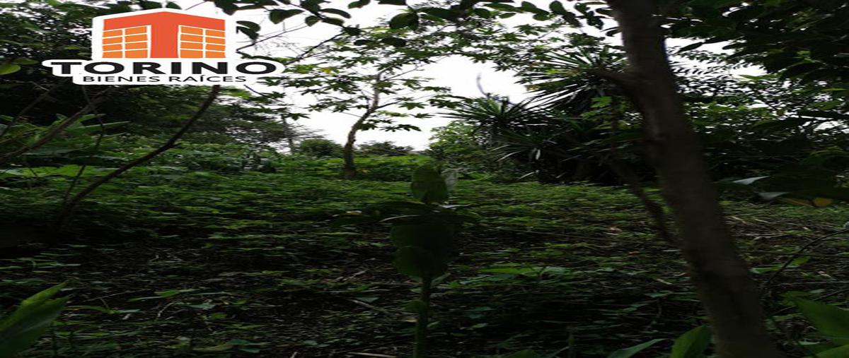 Foto de terreno habitacional en venta en  , plan de ayala, xalapa, veracruz de ignacio de la llave, 7545103 No. 03