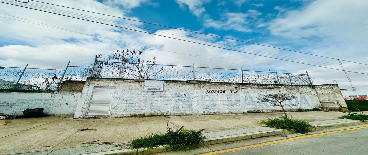 Foto de terreno habitacional en renta en plan de guadalupe , atemajac del valle, zapopan, jalisco, 28746070 No. 05