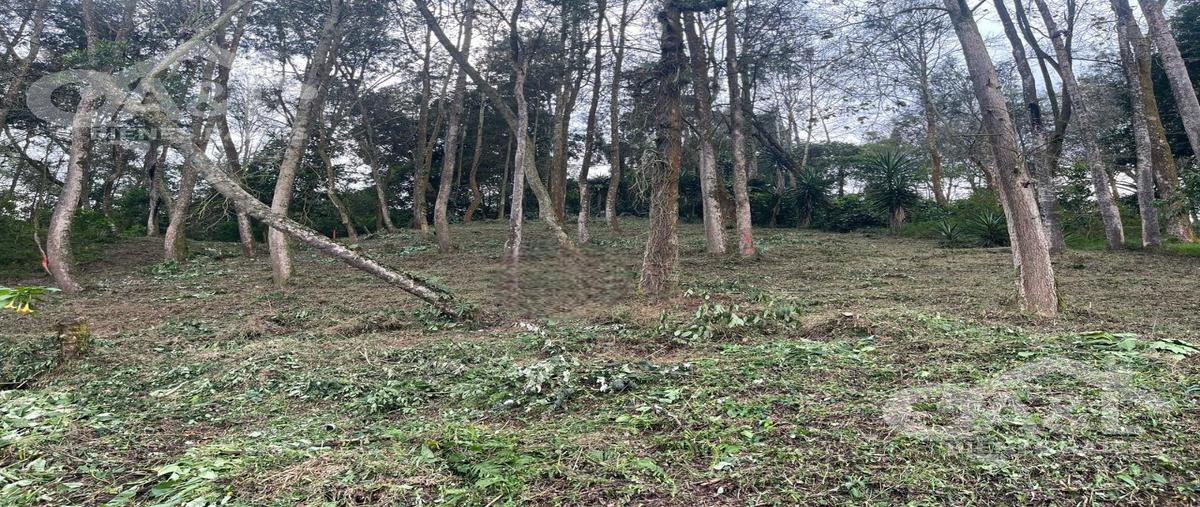 Foto de terreno habitacional en venta en  , plan de la cruz, coatepec, veracruz de ignacio de la llave, 0 No. 03