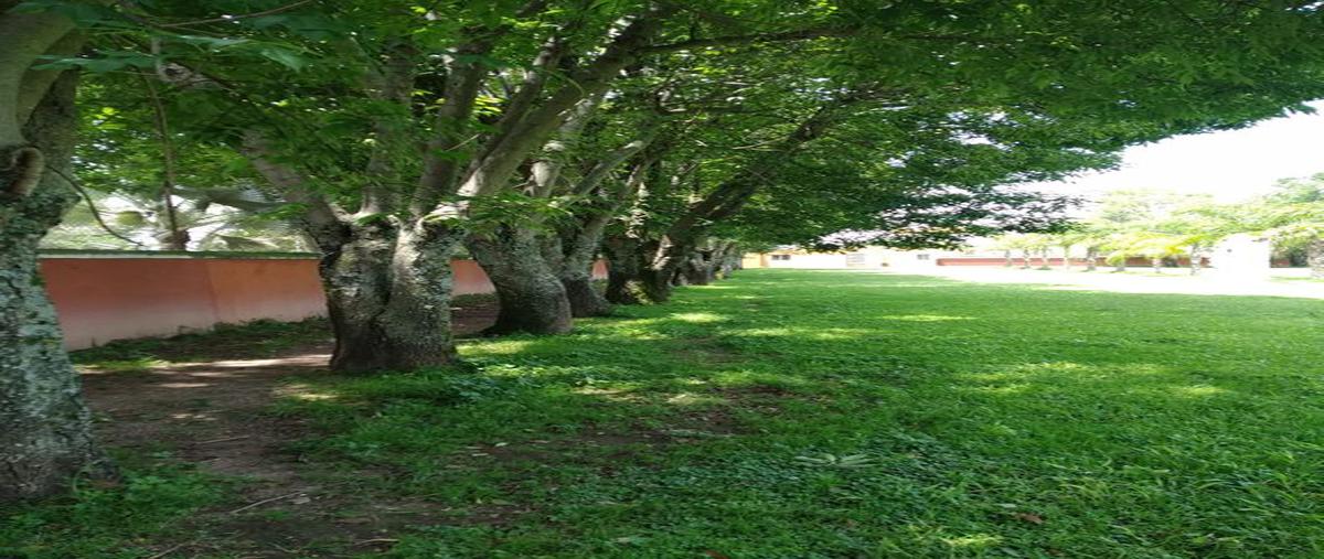 Foto de rancho en venta en plan de la noria 1000, nextipac, zapopan, jalisco, 25384995 No. 04