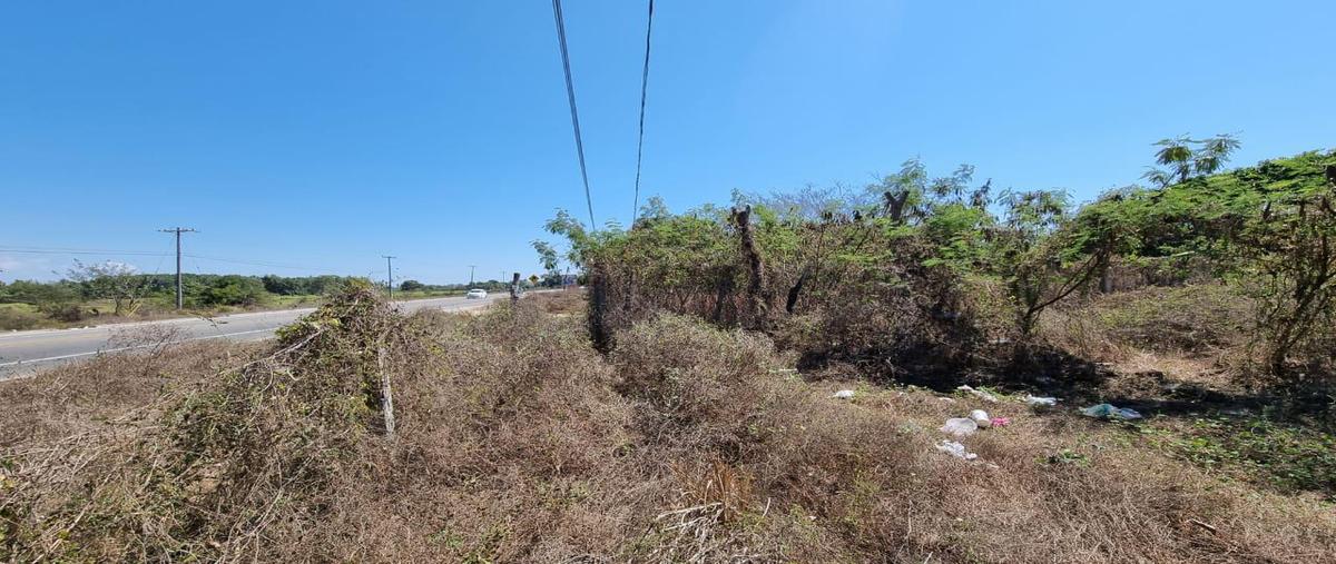Foto de terreno habitacional en venta en  , plan de los amates, acapulco de juárez, guerrero, 0 No. 03