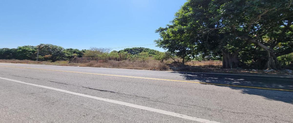 Foto de terreno habitacional en venta en  , plan de los amates, acapulco de juárez, guerrero, 0 No. 04