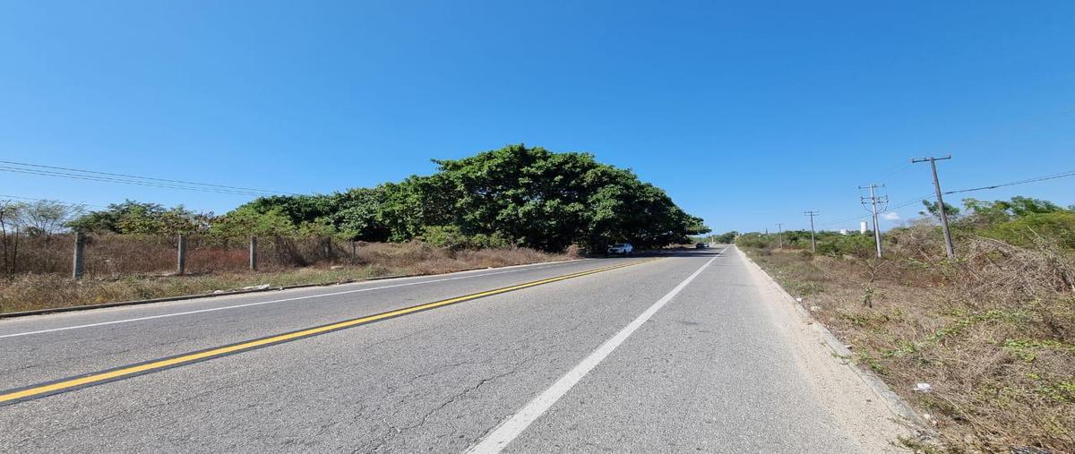 Foto de terreno habitacional en venta en  , plan de los amates, acapulco de juárez, guerrero, 0 No. 05