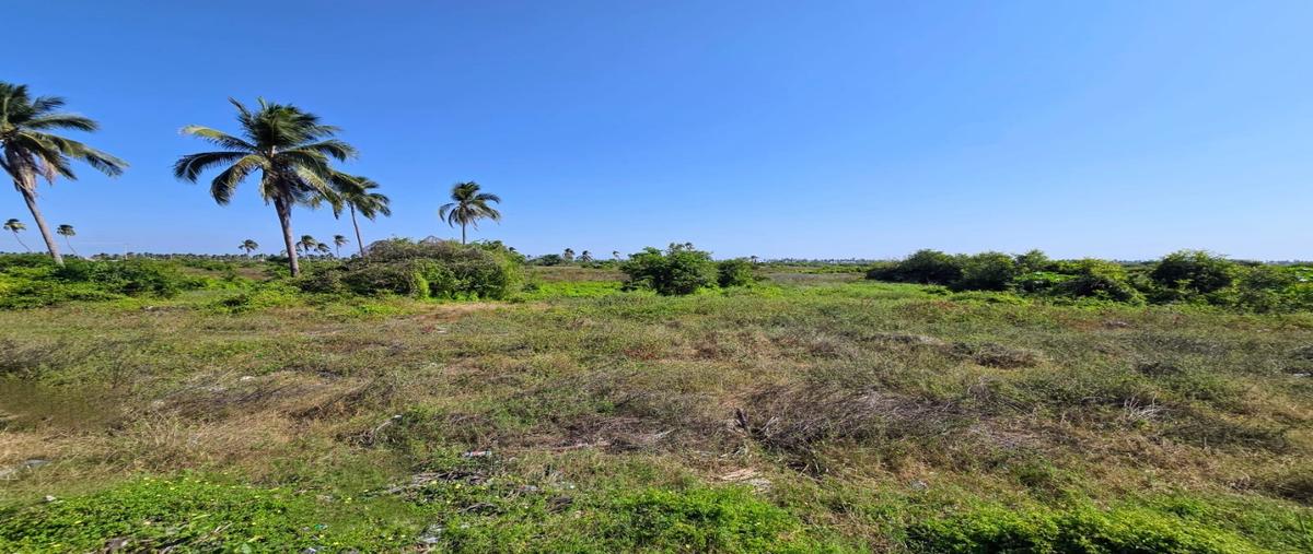 Foto de terreno habitacional en venta en  , plan de los amates, acapulco de juárez, guerrero, 29449725 No. 05