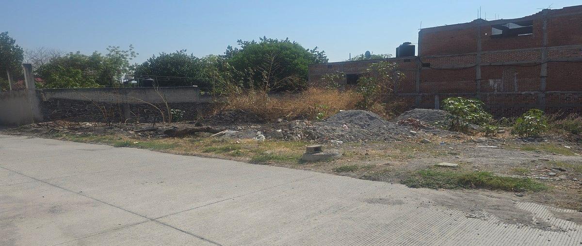 Foto de terreno habitacional en venta en plan de san luis jicarero , jicarero, jojutla, morelos, 0 No. 04