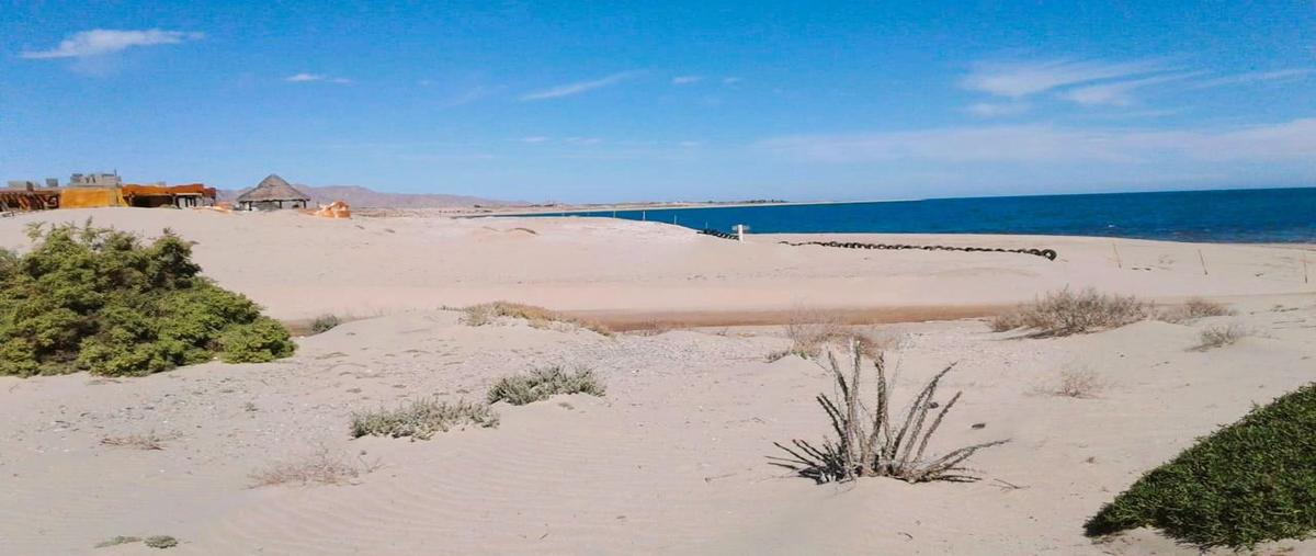 Foto de terreno habitacional en venta en  , plan nacional agrario, mexicali, baja california, 28585190 No. 04