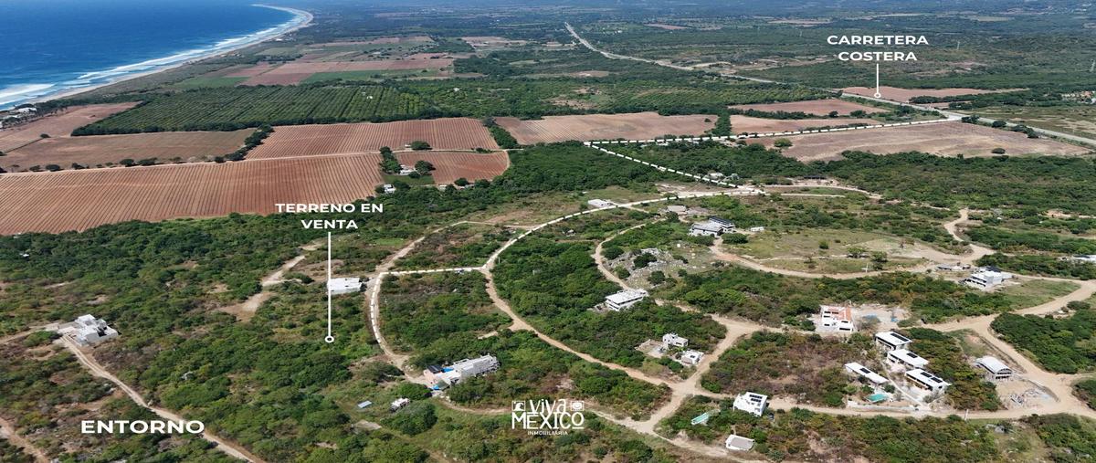 Foto de terreno habitacional en venta en  , plataforma, santa maría colotepec, oaxaca, 29915865 No. 04