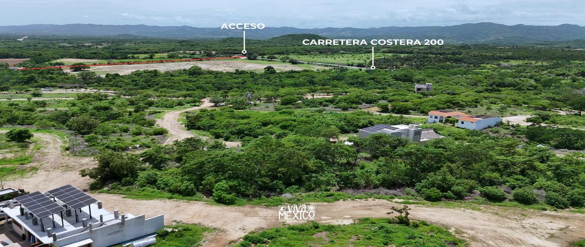 Foto de terreno habitacional en venta en  , plataforma, santa maría colotepec, oaxaca, 30204328 No. 03