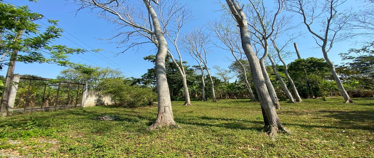 Foto de terreno habitacional en , plátano y cacao 1a secc, centro, tabasco, 27976519 foto 02 Foto de terreno habitacional en venta en , plátano y cacao 1a secc, centro, tabasco, 27976519 No. 02