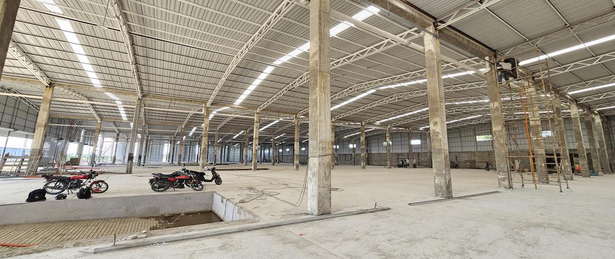 Foto de bodega en renta en  , plátano y cacao, centro, tabasco, 0 No. 05