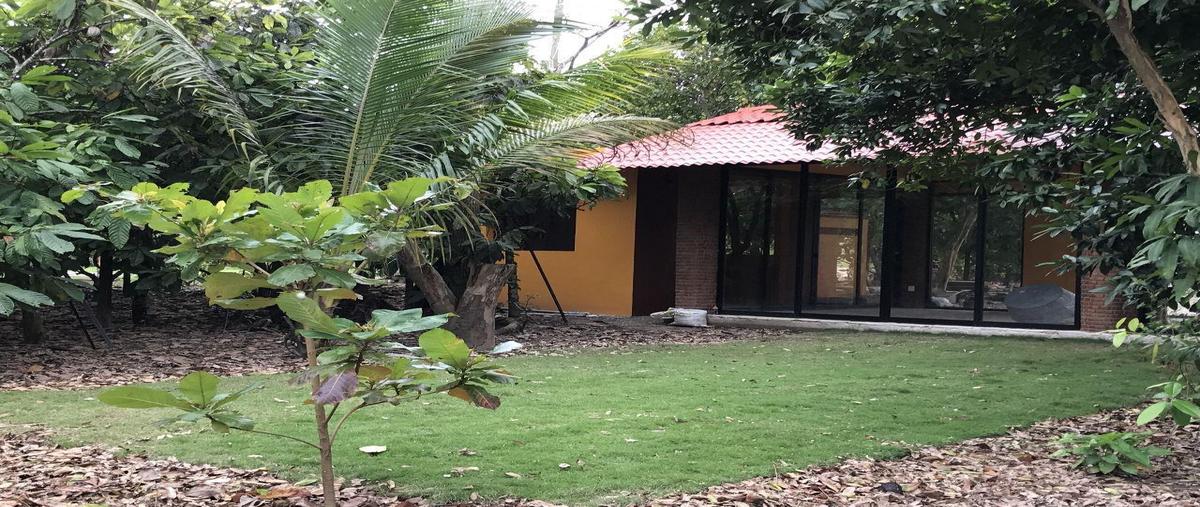 Foto de terreno habitacional en venta en  , plátano y cacao, centro, tabasco, 0 No. 05