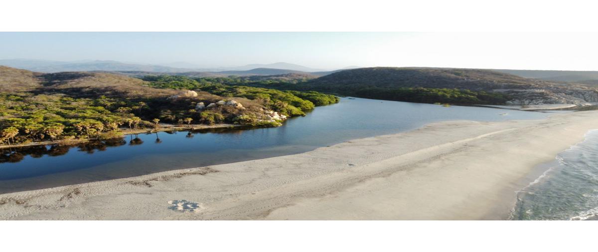 Foto de terreno habitacional en venta en  , playa azul, san pedro huamelula, oaxaca, 23633988 No. 04