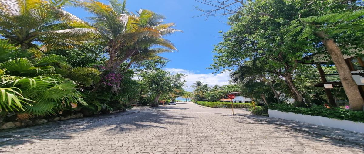 Foto de terreno habitacional en venta en  , playa car fase i, solidaridad, quintana roo, 27030182 No. 05