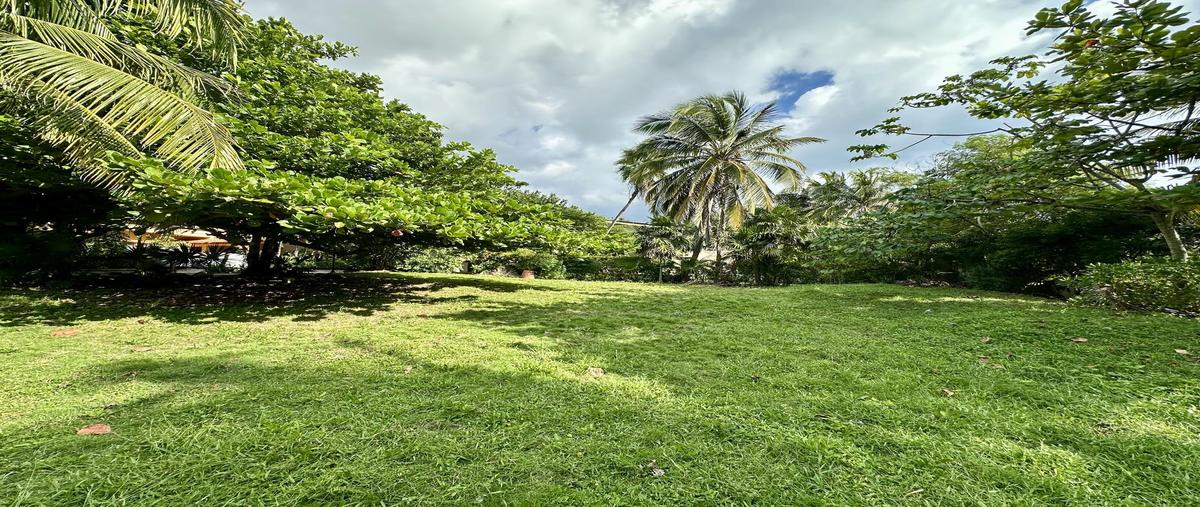 Foto de terreno habitacional en , playa car fase i, solidaridad, quintana roo, 0 foto 05 Foto de terreno habitacional en venta en , playa car fase i, solidaridad, quintana roo, 0 No. 05
