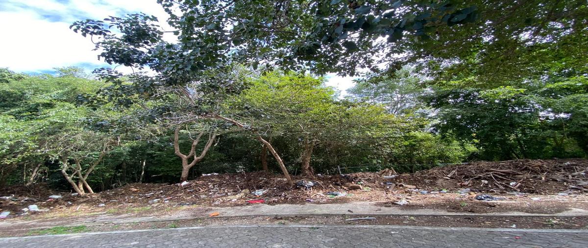 Foto de terreno habitacional en venta en  , playa car fase i, solidaridad, quintana roo, 0 No. 03