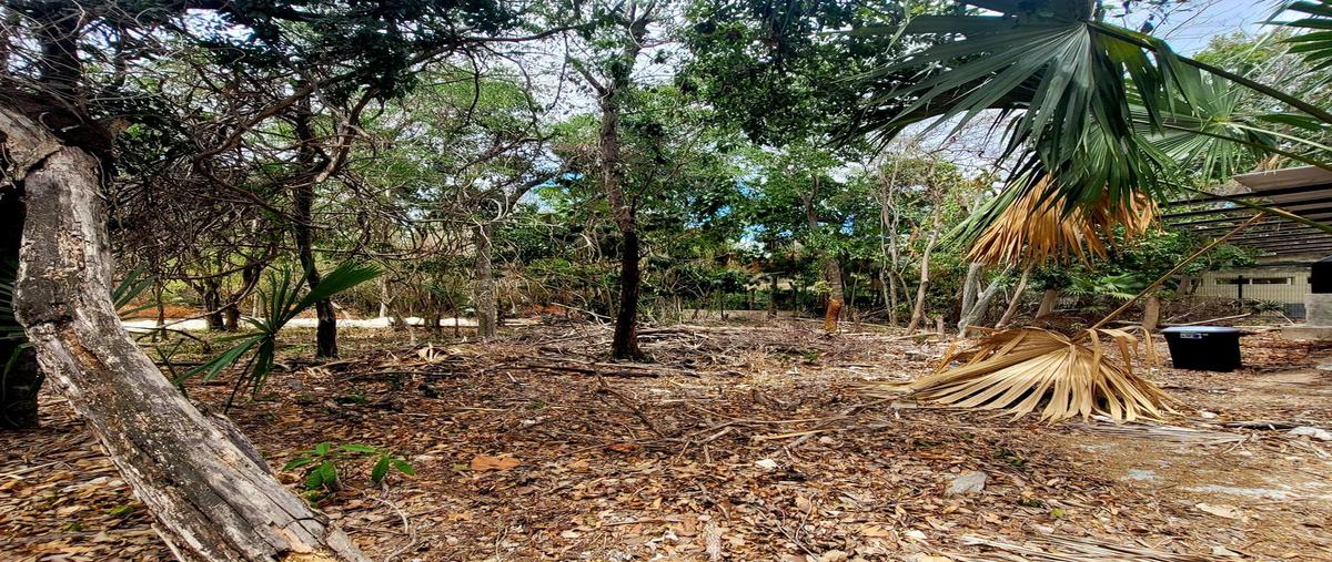 Foto de terreno habitacional en venta en  , playa car fase ii, solidaridad, quintana roo, 28103581 No. 04