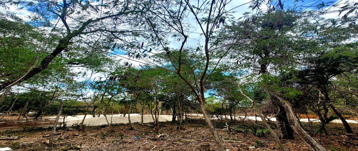 Foto de terreno habitacional en venta en  , playa car fase ii, solidaridad, quintana roo, 28103581 No. 05