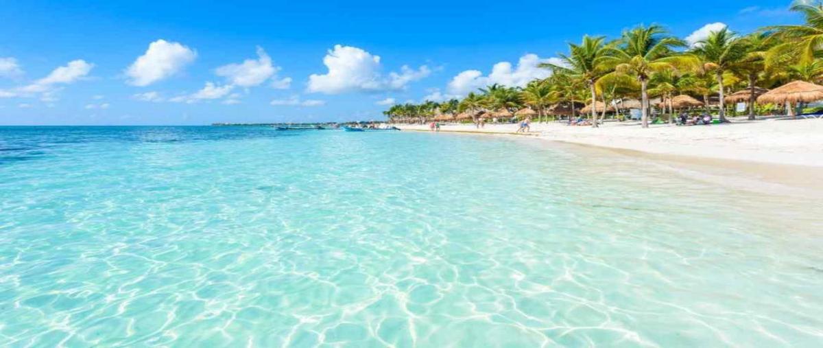 Foto de departamento en venta en  , playa car fase ii, solidaridad, quintana roo, 0 No. 04