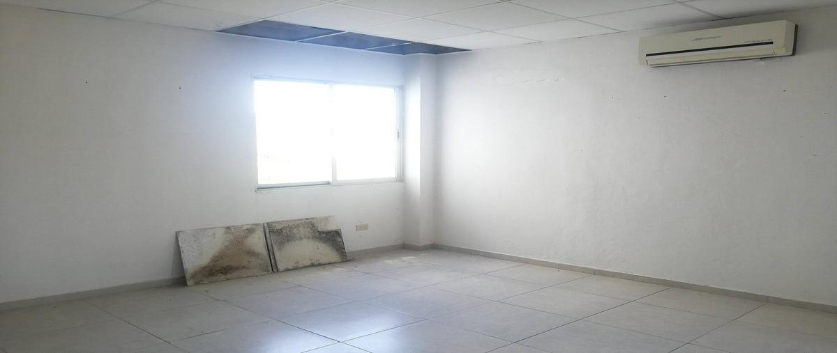 Foto de oficina en renta en  , playa car fase ii, solidaridad, quintana roo, 0 No. 05