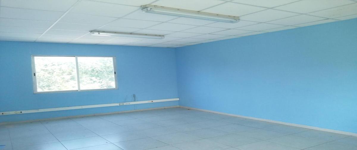 Foto de oficina en renta en  , playa car fase ii, solidaridad, quintana roo, 0 No. 03