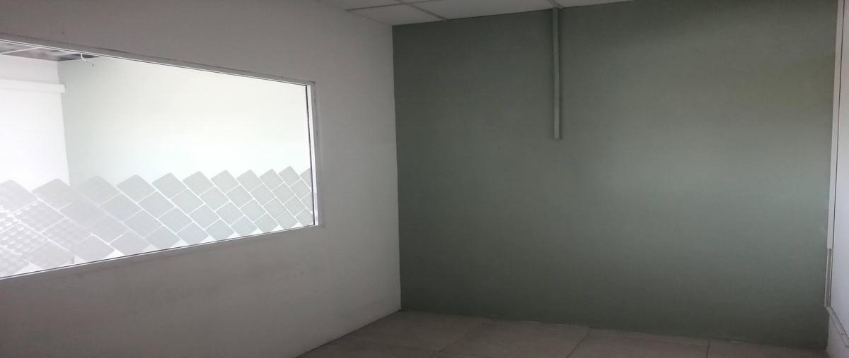 Foto de oficina en renta en  , playa car fase ii, solidaridad, quintana roo, 0 No. 05