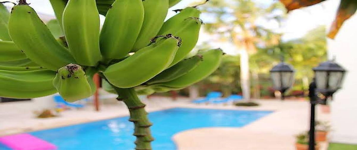 Foto de casa en venta en  , playa car fase ii, solidaridad, quintana roo, 0 No. 03