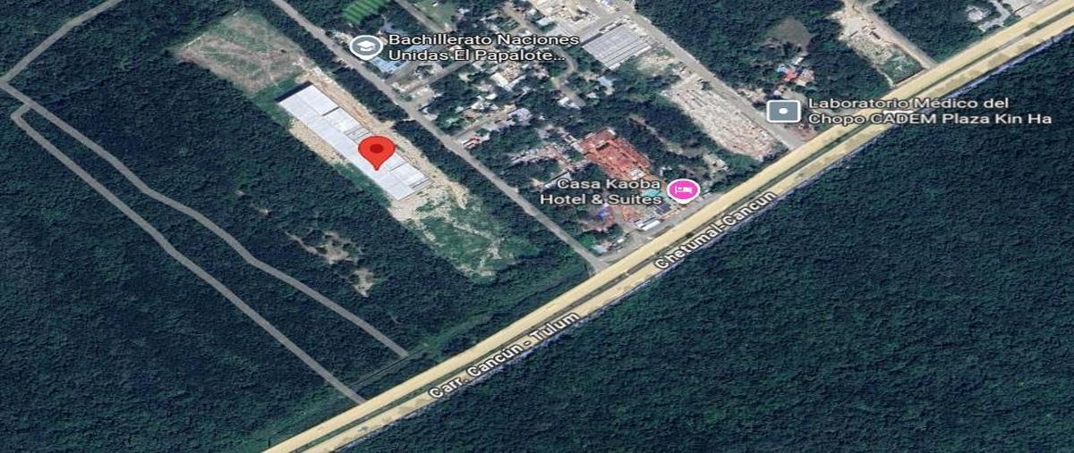 Foto de local en renta en  , playa car fase ii, solidaridad, quintana roo, 0 No. 05