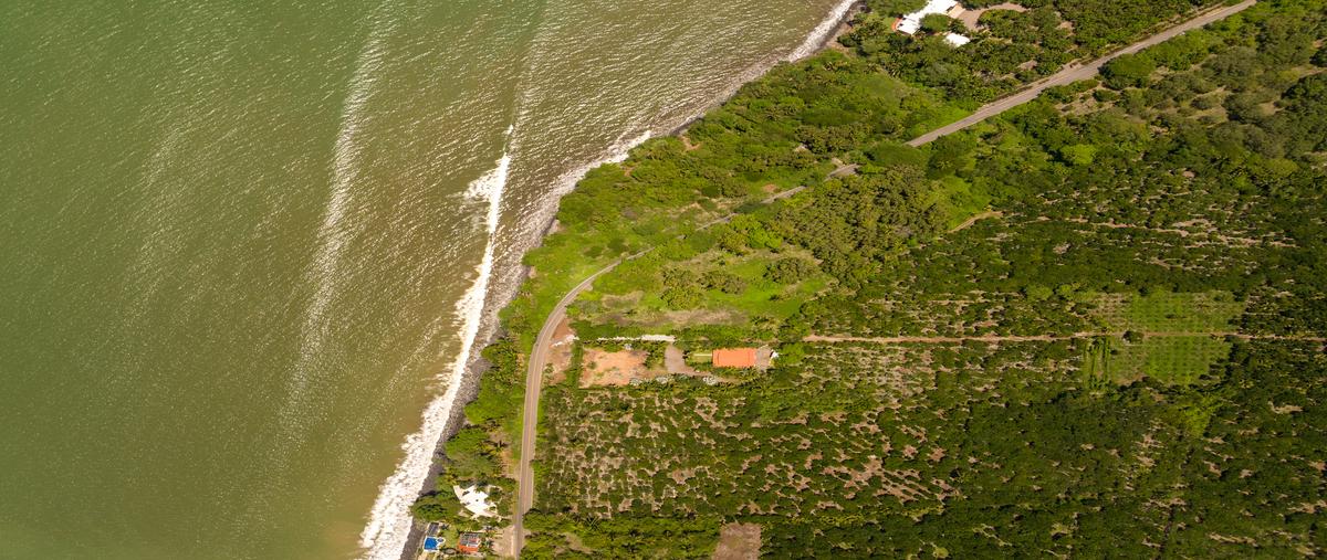 Foto de terreno habitacional en venta en  , playa de los cocos, san blas, nayarit, 29086094 No. 04