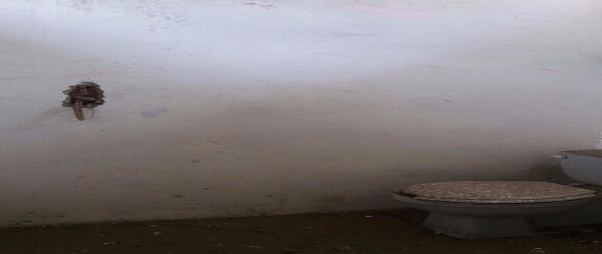 Foto de local en venta en  , playa de oro, coatzacoalcos, veracruz de ignacio de la llave, 25529929 No. 05