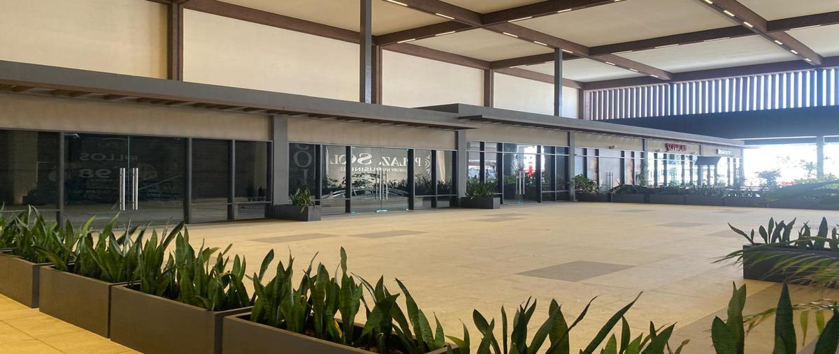 Foto de local en renta en  , playa de oro mocambo, boca del río, veracruz de ignacio de la llave, 0 No. 04