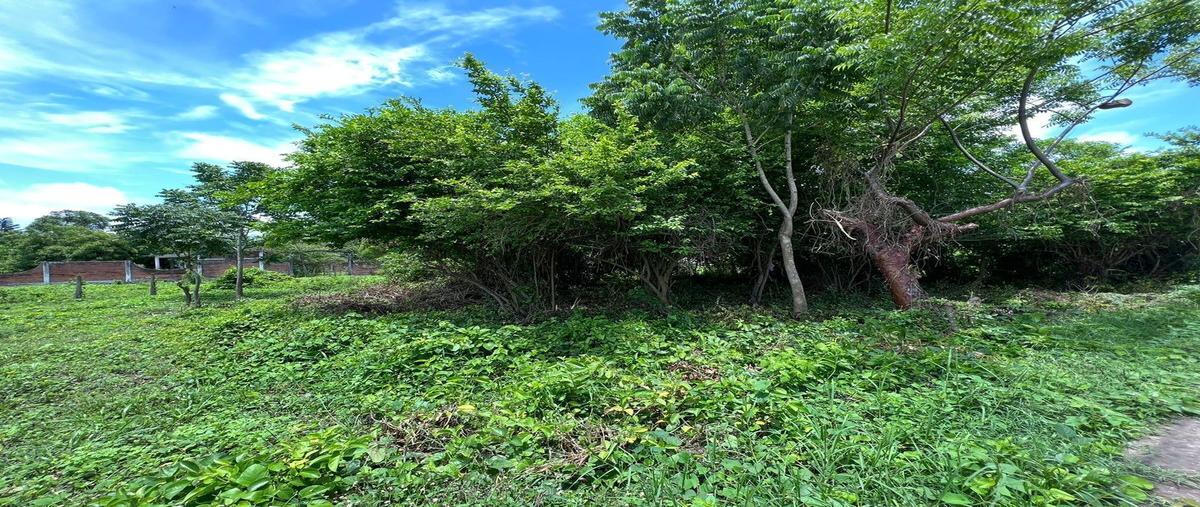 Foto de terreno habitacional en venta en  , playa de vacas, medellín de bravo, veracruz de ignacio de la llave, 27680871 No. 03