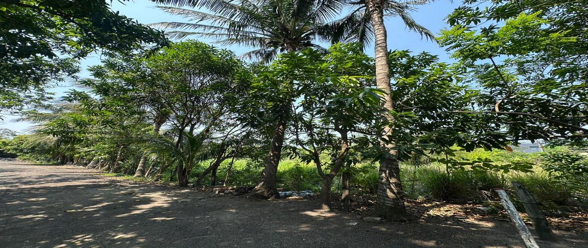 Foto de terreno habitacional en , playa de vacas, medellín de bravo, veracruz de ignacio de la llave, 30301183 foto 04 Foto de terreno habitacional en venta en , playa de vacas, medellín de bravo, veracruz de ignacio de la llave, 30301183 No. 04