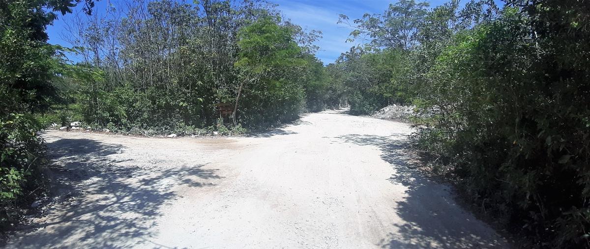Foto de terreno habitacional en venta en  , playa del carmen centro, solidaridad, quintana roo, 21146465 No. 03