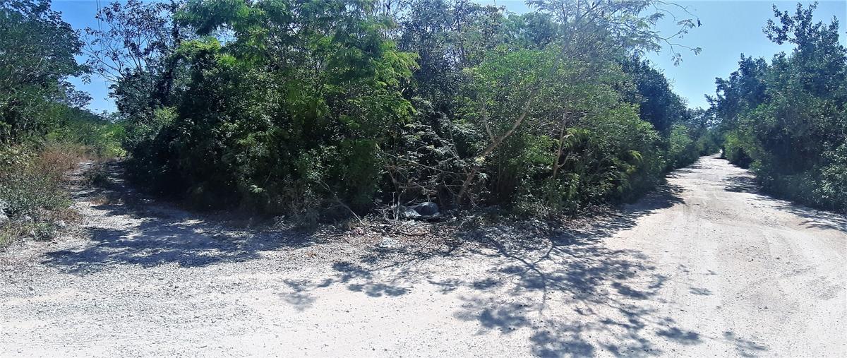 Foto de terreno habitacional en venta en  , playa del carmen centro, solidaridad, quintana roo, 21146465 No. 05